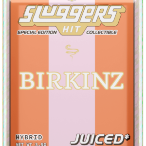 Birkinz - Hybrid Sluggers Hit